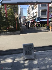 20180110123419_iPhone 7.jpg